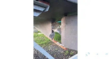 Beneteau Antares 800