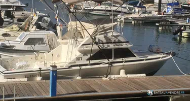 Bertram  28 Flybridge