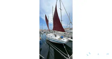 Chantier Amateur Coque bois