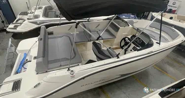 Bayliner M19