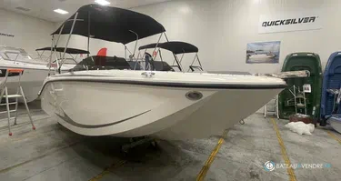 Bayliner M19