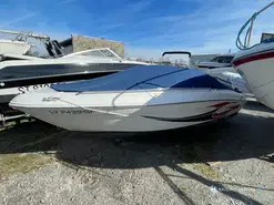 Sea Ray  190 BR