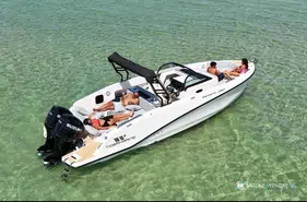 Tiger Marine Infinity 280