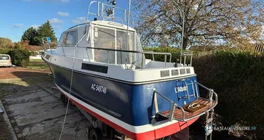 Kirie Ange de Mer 800