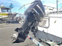 MERCURY Optimax 200 XL