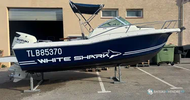 White Shark  206 WA Club