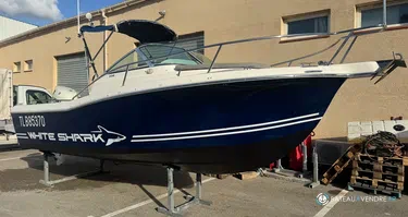 White Shark  206 WA Club