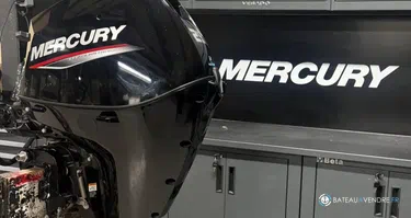 MERCURY F25 MH