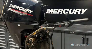 MERCURY F25 MH