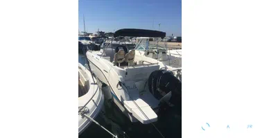Quicksilver Activ 805 Sundeck