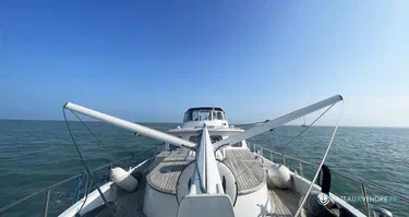 Vedette Hollandaise Acier