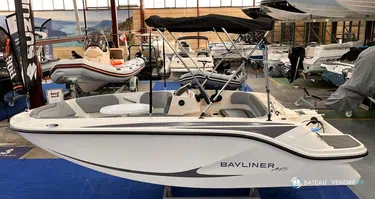 Bayliner Element M15