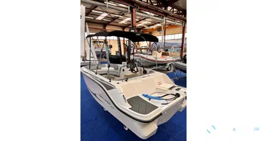 Bayliner Element M15