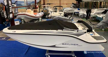 Bayliner Element M15