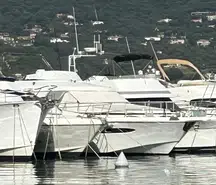 Astondoa  50 GL