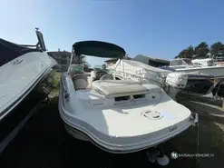 Sea Ray 220 BR