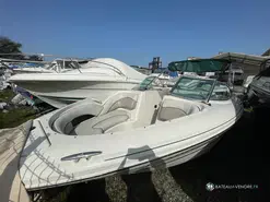 Sea Ray 220 BR