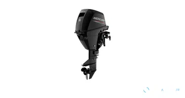 Moteur Mercury 6 CV 4 Temps – Bicylindre EFI 