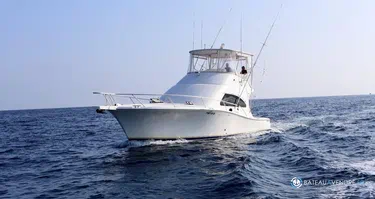 Luhrs  41 Convertible