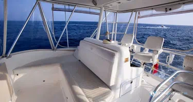 Luhrs  41 Convertible