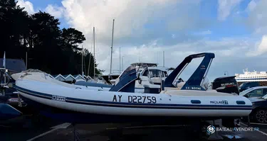 Gruppo Mare pholas 21