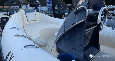 Gruppo Mare pholas 21