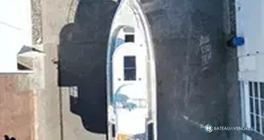 Paragon Yachts Paragon 31