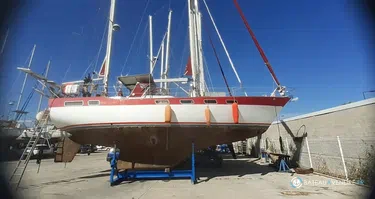 Wauquiez Amphitrite 43