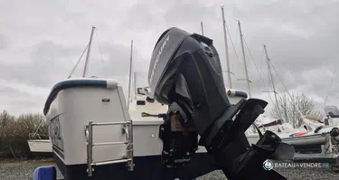 Quicksilver  500 Fish