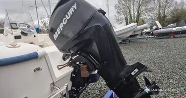 Quicksilver  500 Fish