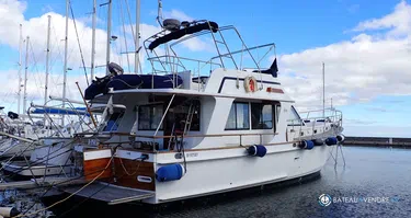 Island Gypsy  44