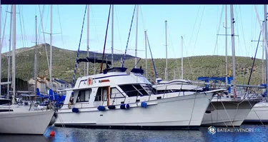 Island Gypsy  44