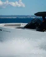 De Antonio Yachts D29