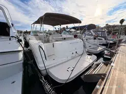Sea Ray Amberjack 290