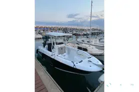 Wellcraft Fisherman 242