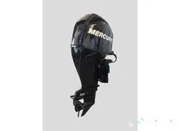 Moteur Mercury 60cv EFI