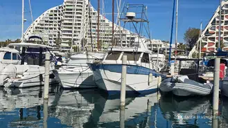 Navimotors Teaser 31 Sport