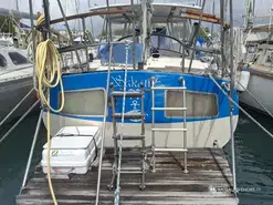 Wauquiez Amphitrite 43