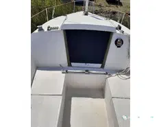 Microplus MICRO CHALLENGER