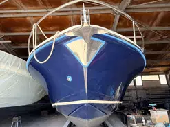 Asterie  35