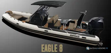 Brig Eagle 8