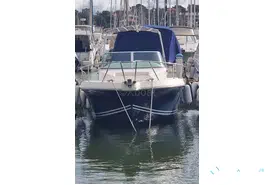 Kelt White Shark 237