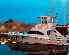 Luhrs  36 Convertible