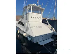 Luhrs  36 Convertible