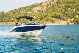 Bayliner V20