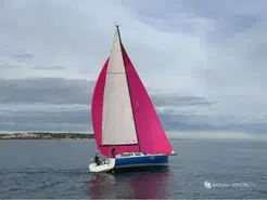 Pogo Structures Pogo 10.50