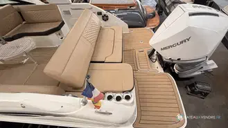Sea Ray 250 SDX HB