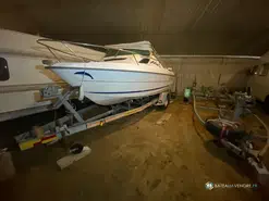 B2 Marine Cap Ferret