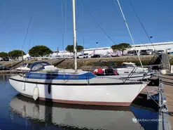Dufour  29