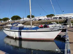 Dufour  29